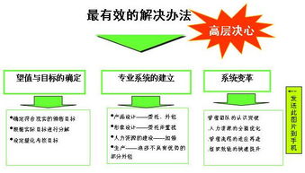 浪莎紅 數(shù)字化時(shí)代的內(nèi)裝品牌互聯(lián)網(wǎng)營(yíng)銷戰(zhàn)略策劃方案